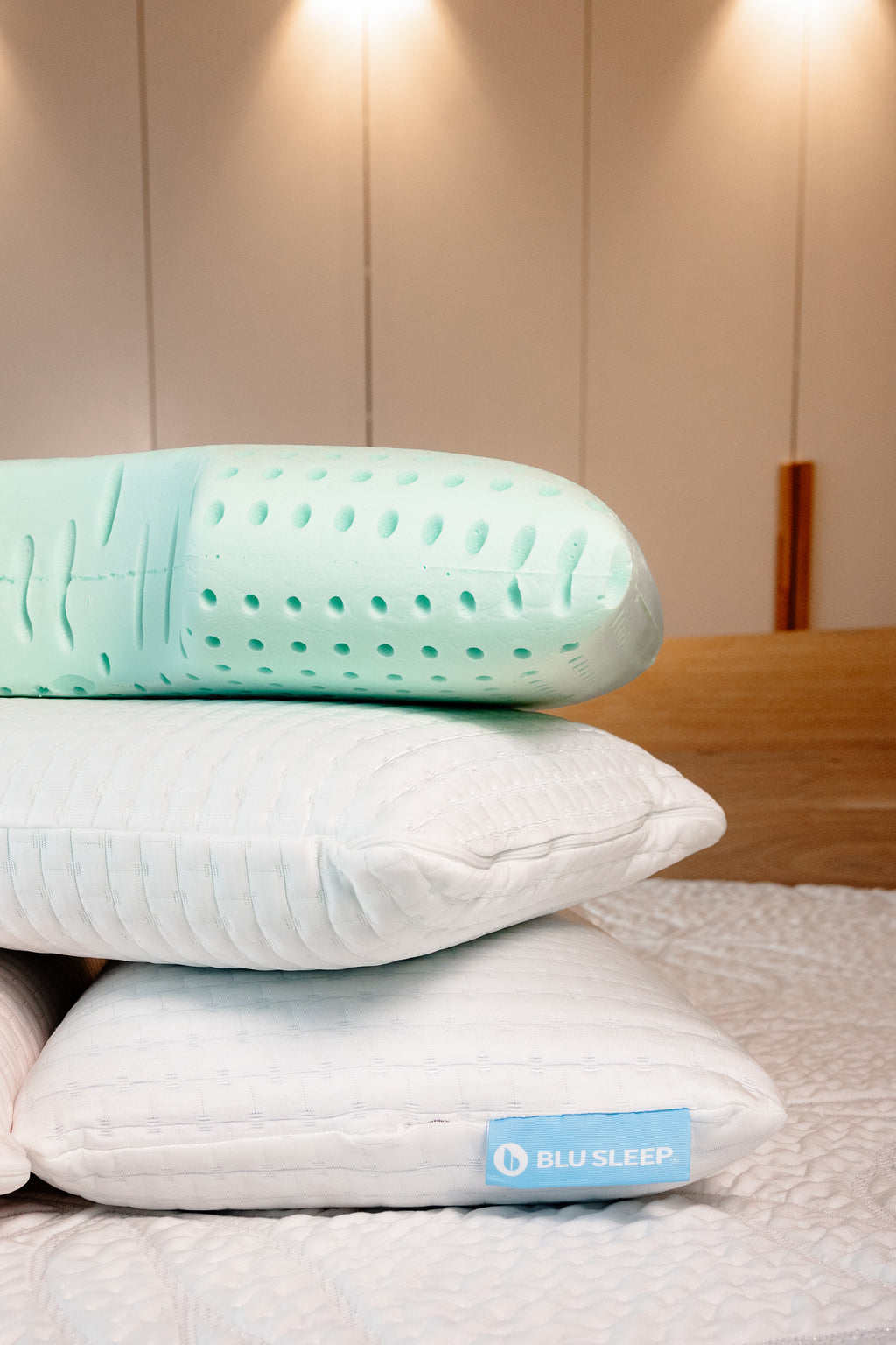 Bio Aloe Memory Foam Pillow