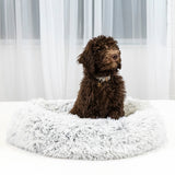 Ceramo Pet Bed